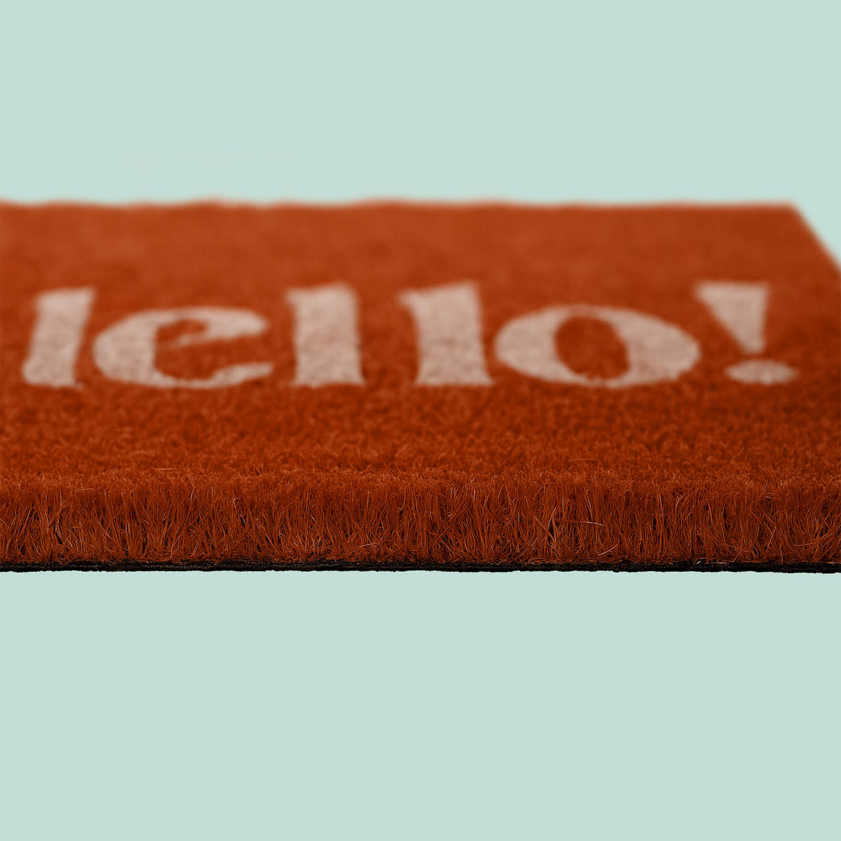 FUSSMATTE - Multicolor, Kunststoff/Textil (60/40cm) - Relaxdays