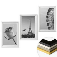 WANDBILDER 3er-Set - 40x60 cm Weißer Rahmen - Rose Eiffelturm Riesenrad - Weiß, Kunststoff (40/60cm) - ArtPrintCave