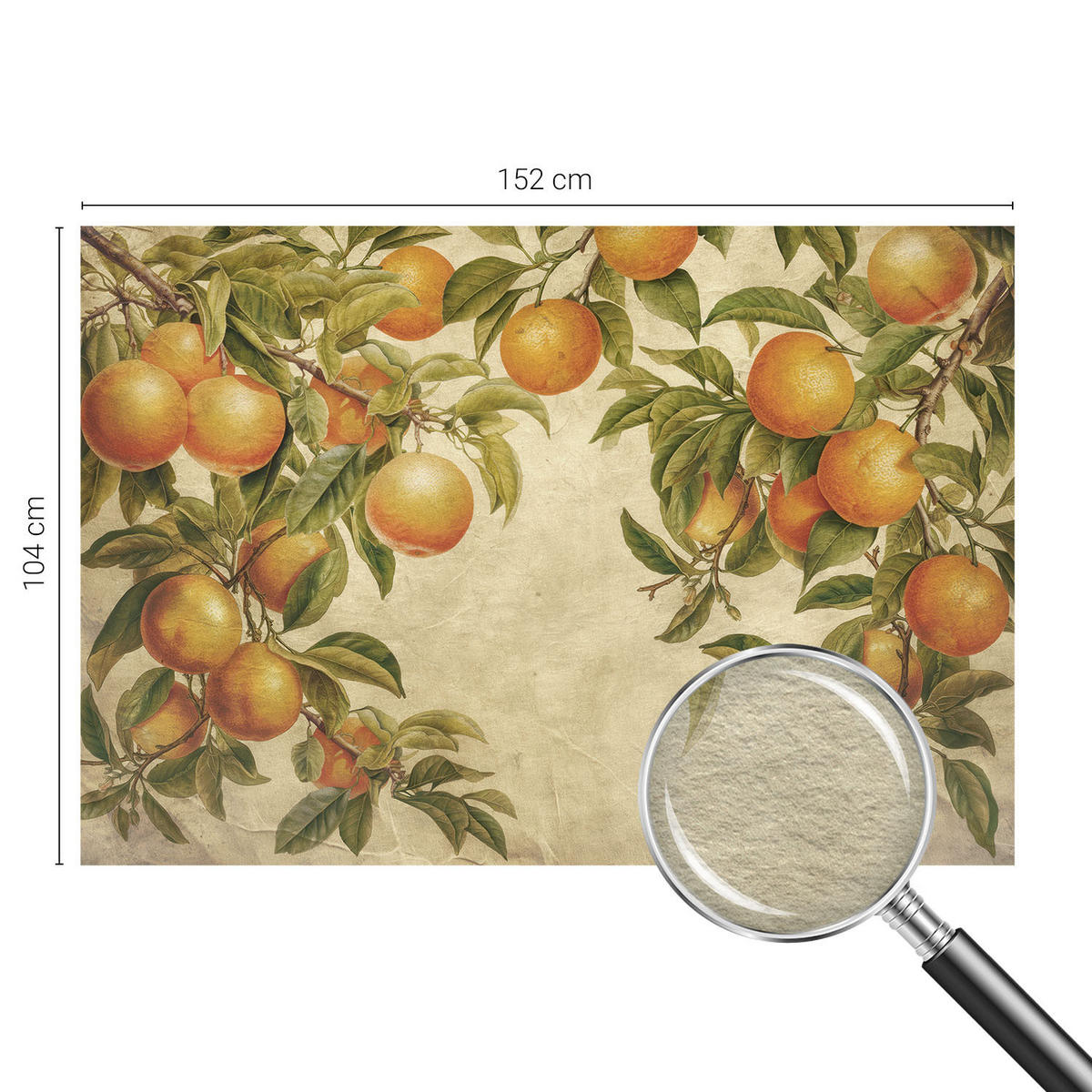 FOTOTAPETE 152x104 cm - Fruchtzweige - Grün, Textil (152/104cm) - Wallfluent