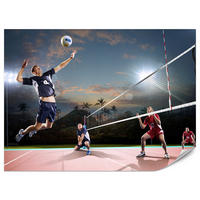 FOTOTAPETA Pre Študentskú Izbu Volejbal Pláž Trópy Zápas Hráč Palmy 250 x 175 cm - oranžová/čierna, papier (250/175cm) - Muralo
