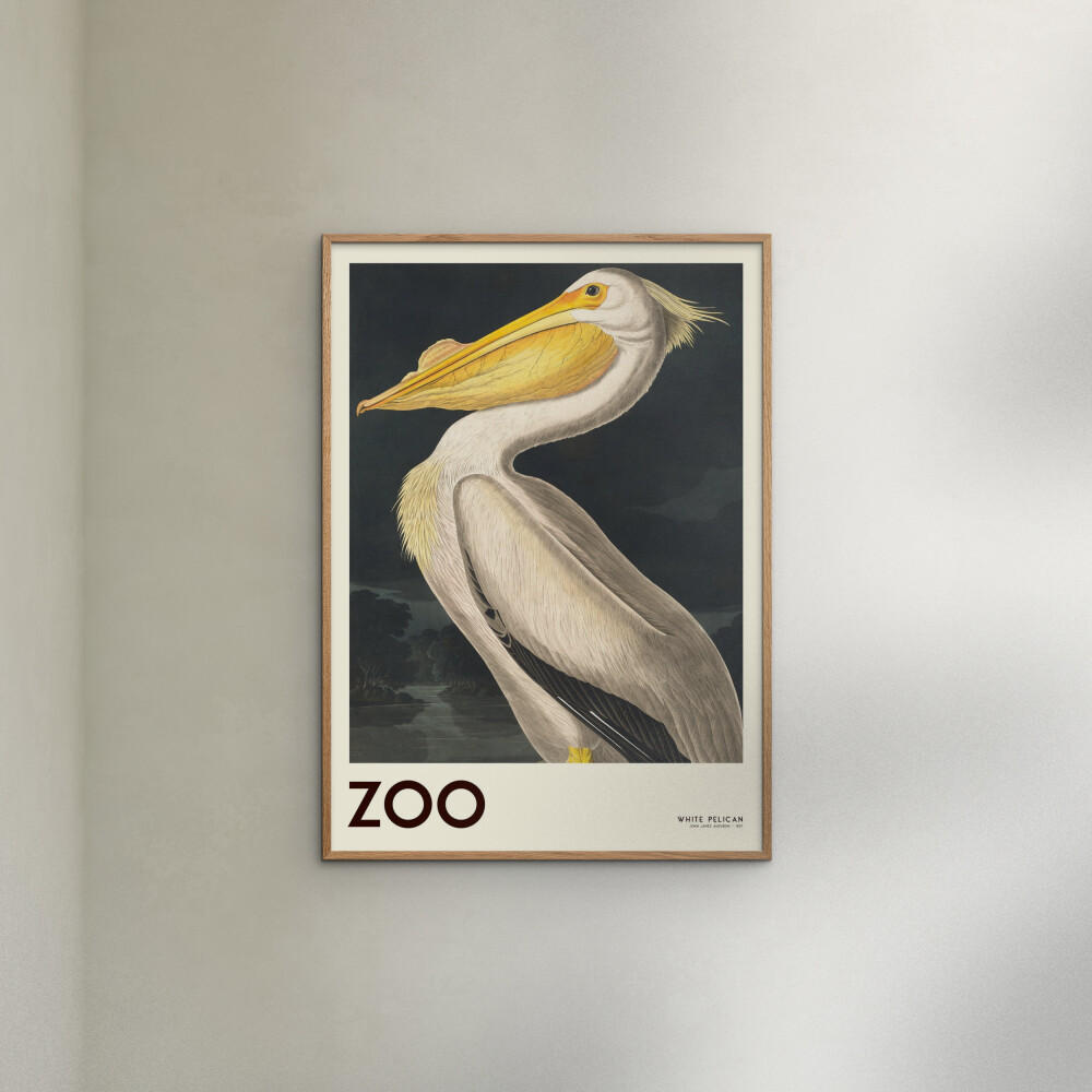 POSTER A.P. Atelier - The Zoo Collection — White Pelican — Edt. 001 - Weiß, Papier (70/100/0.1cm) - Poster&Frame