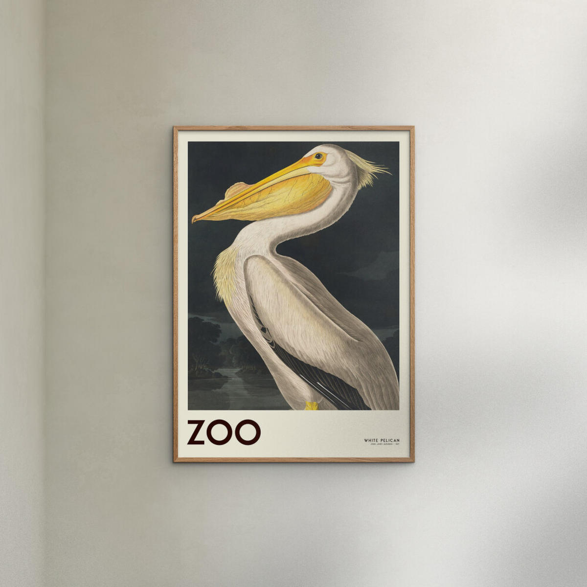 POSTER A.P. Atelier - The Zoo Collection — White Pelican — Edt. 001 - Weiß, Papier (70/100/0.1cm) - Poster&Frame