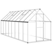 GEWÄCHSHAUS mit Fundamentrahmen Silber 445x169x195cm Aluminimum - Silberfarben, Metall (169/195/445cm)