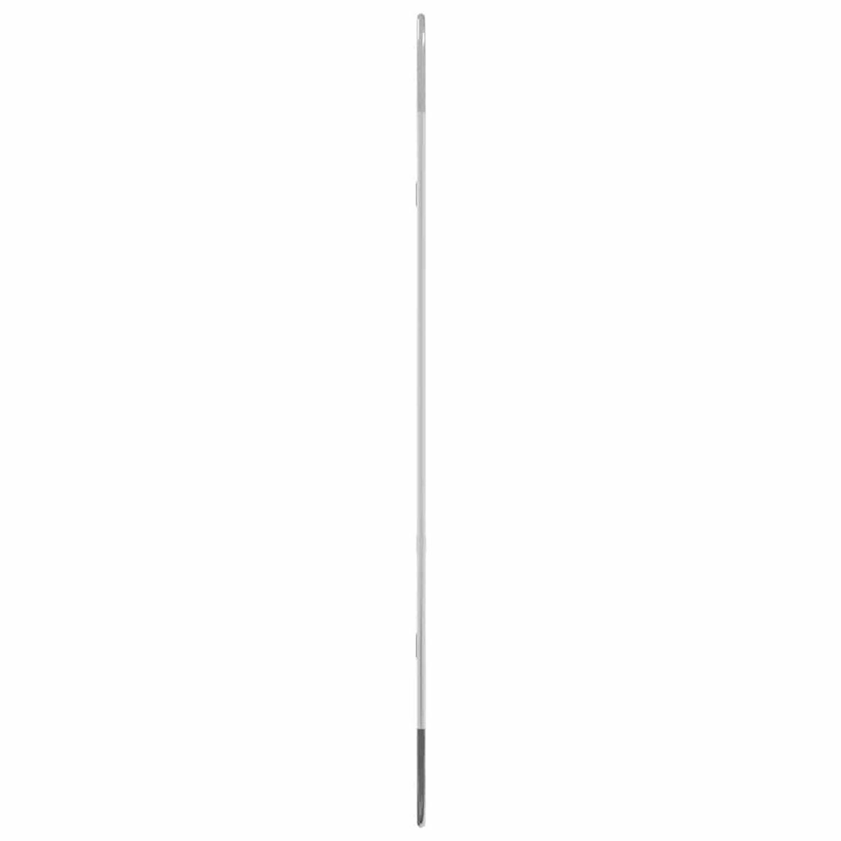 WANDSPIEGEL Silbern 80x35 cm Oval - Silberfarben, Glas (35/80/1cm) - furnicato