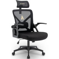 BÜROSTUHL Ergonomisch mit Kopfstütze und Lordosenstütze Schwarz Kunststoff - Schwarz, Kunststoff (58/58/27cm)