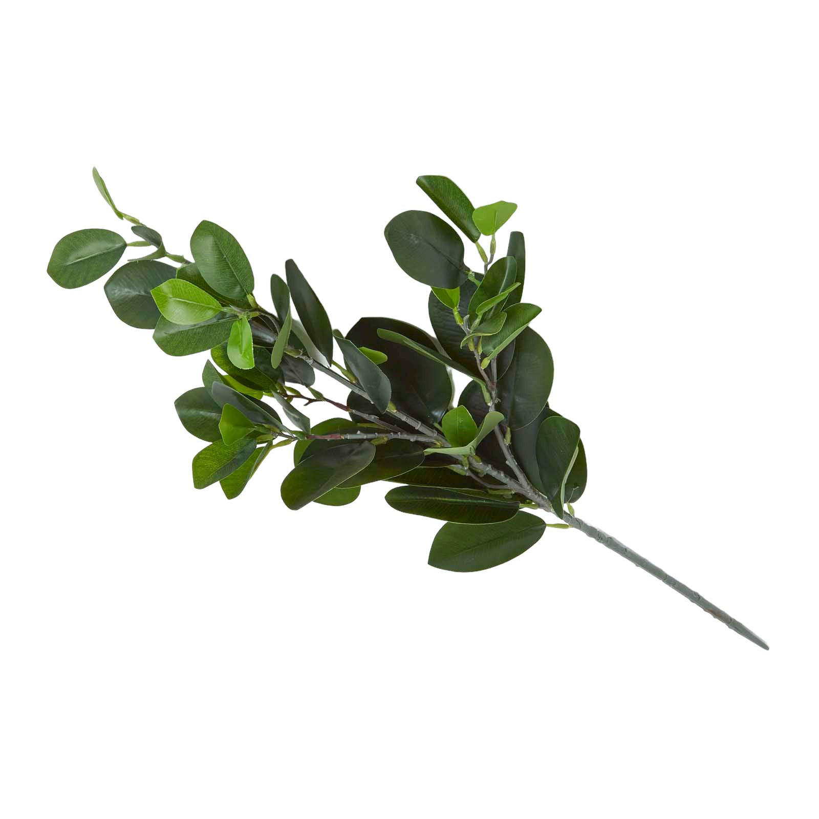 DEKOZWEIG Gummibaum, 58 cm - Grün, Kunststoff (58cm) - Homescapes