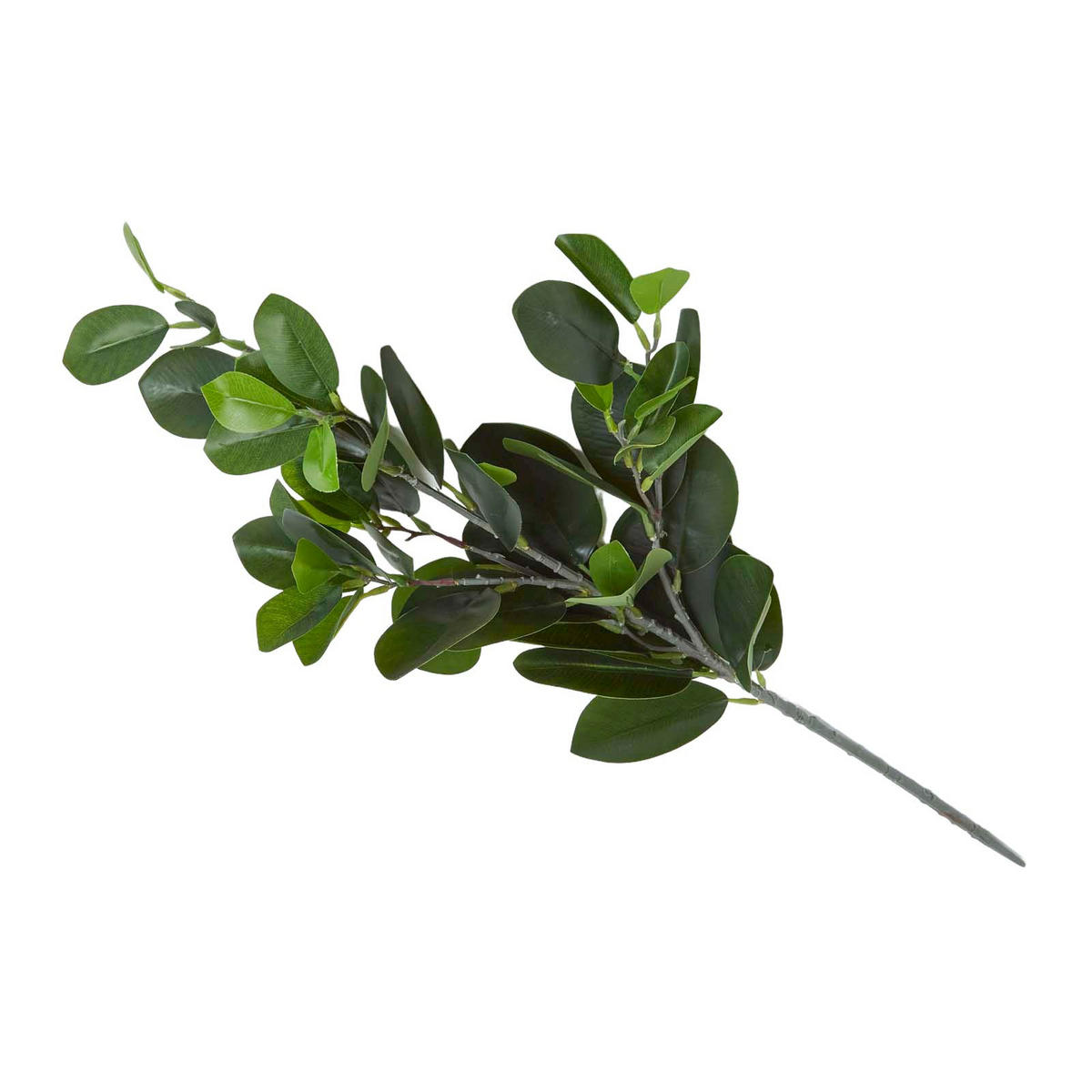 DEKOZWEIG Gummibaum, 58 cm - Grün, Kunststoff (58cm) - Homescapes