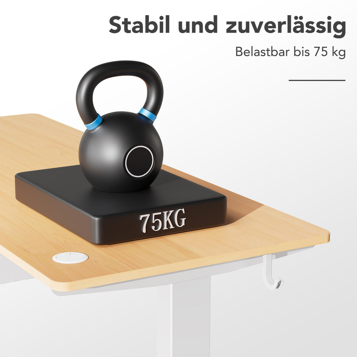 SCHREIBTISCH elektrisch höhenverstellbar 80 x 160 cm, mit Memory- und Kollisionsschutzfunktion - Naturfarben, Metall (160/80/117cm) - HOMAVO