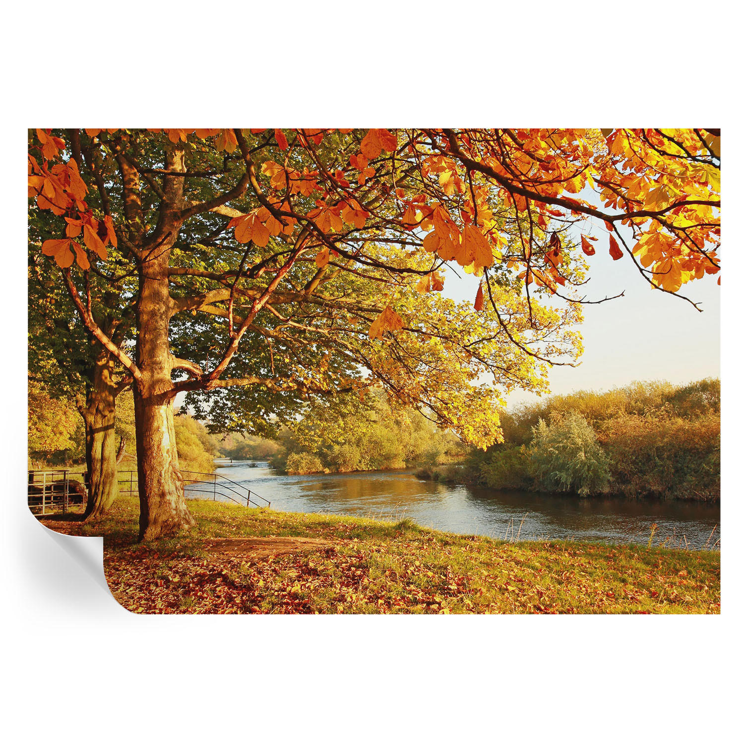 FOTOTAPETE 312x219 cm - Küstenherbst - Gelb, Textil (312/219cm) - Wallfluent