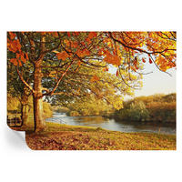 FOTOTAPETE 312x219 cm - Küstenherbst - Gelb, Textil (312/219cm) - Wallfluent