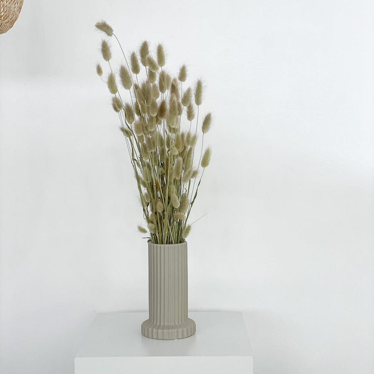 LAGURUS | Samtgras | Hasenschwanz 60cm - magenta - Magenta, Naturmaterialien (70cm) - Lykke & You