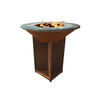 HOLZKOHLEGRILL Feuerschale Braun inkl. Schutzhülle - Braun, Metall (98/100/98cm) - Purline