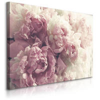LEINWANDBILD Pfingstrosen Blumen 3D Pflanzen Natur 100x70 - Beige/Weiß, Textil (100/70cm) - Muralo