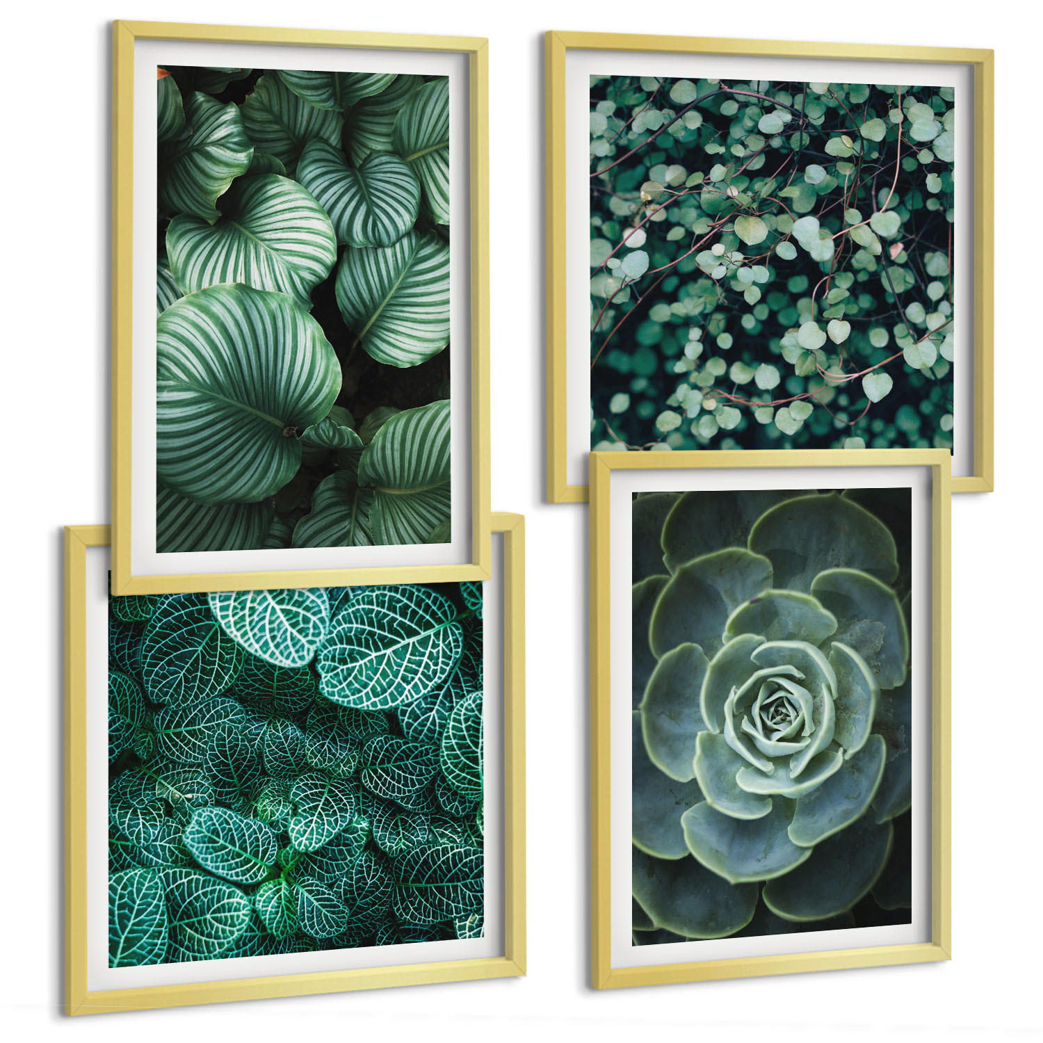 BILDER SET 4er Set - 50x50 cm & 40x60 cm Goldrahmen - Grüne, saftige Blätter - Goldfarben, Kunststoff (50/50cm) - TULUP