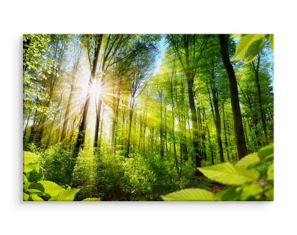 LEINWANDBILD Sonnenaufgang im Wald Natur 3D 120/80 cm - Blau/Beige, Textil (120/80cm) - Muralo