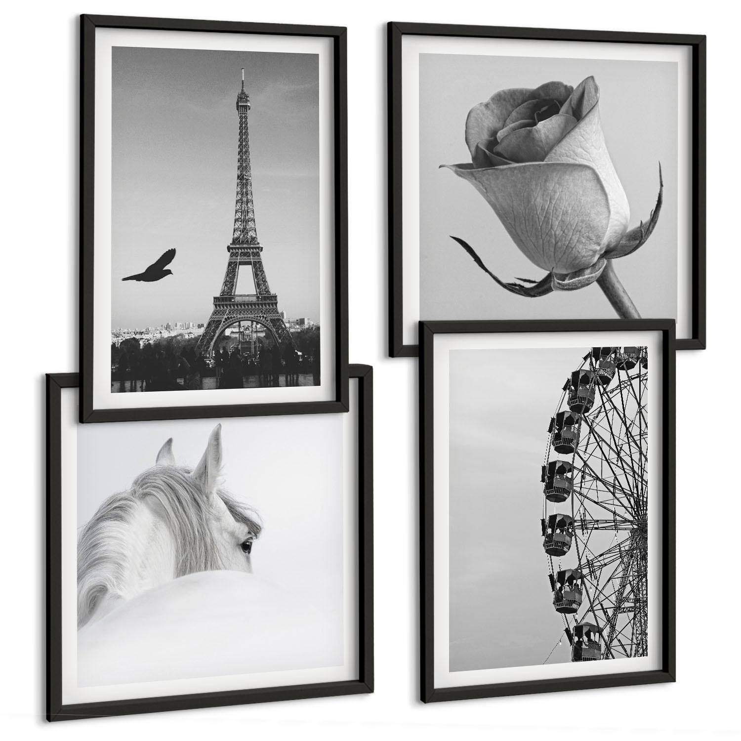 BILDER SET 4er Set - 50x50 cm & 40x60 cm Schwarzer Rahmen - Rose Eiffelturm Pferd Riesenrad S/W - Schwarz, Kunststoff (50/50cm) - TULUP