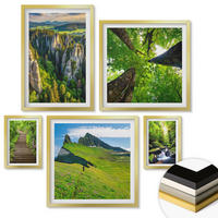 WANDBILDER 5er Set - 50x50 cm & 20x30 cm & 40x60 cm Goldrahmen - Grüne Berge Wasserfallwald - Goldfarben, Kunststoff (40/60cm) - ArtPrintCave