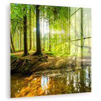 ACRYLGLASBILD Wald - Landschaft - Wasser - Bäume - Sonne - Grün - Natur 90x90 cm - Grün, Glas (90/90cm) - MuchoWow