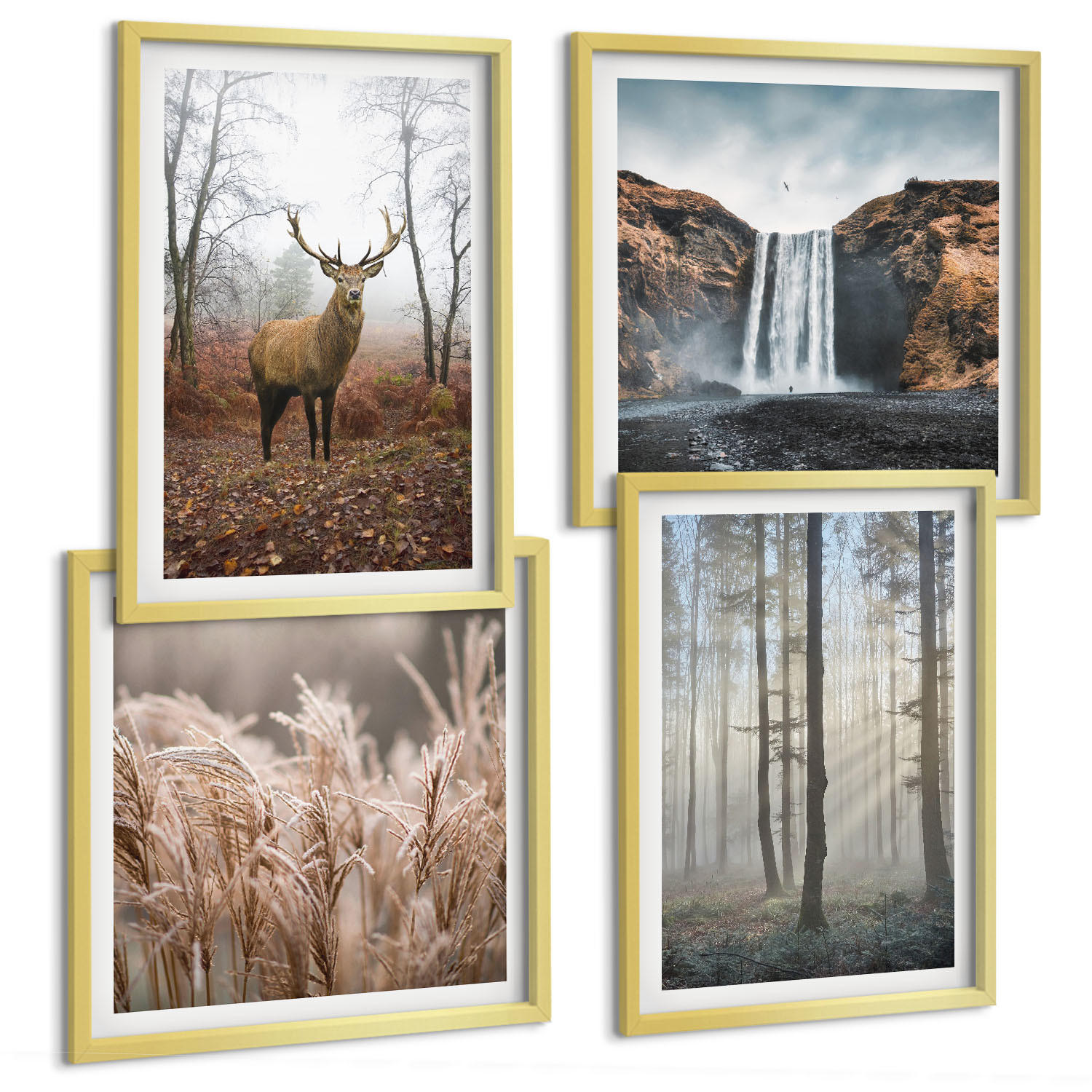 BILDER SET 4er Set - 50x50 cm & 40x60 cm Goldrahmen - Waldlandschaften der Wildnis - Goldfarben, Kunststoff (50/50cm) - TULUP