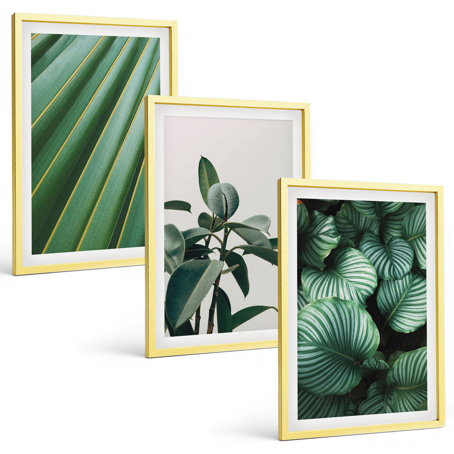 BILDER SET 3er Set - 40x60 cm Goldrahmen - Ästhetische tropische Blätter - Goldfarben, Kunststoff (40/60cm) - TULUP