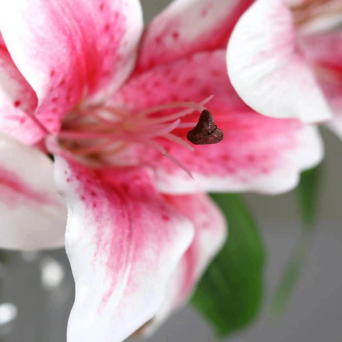 KUNSTBLUME Künstlicher Lilienstrauß - Metin 33 cm in Glasvase mit künstl. Wasser - Pink, Kunststoff (33cm) - aplanta