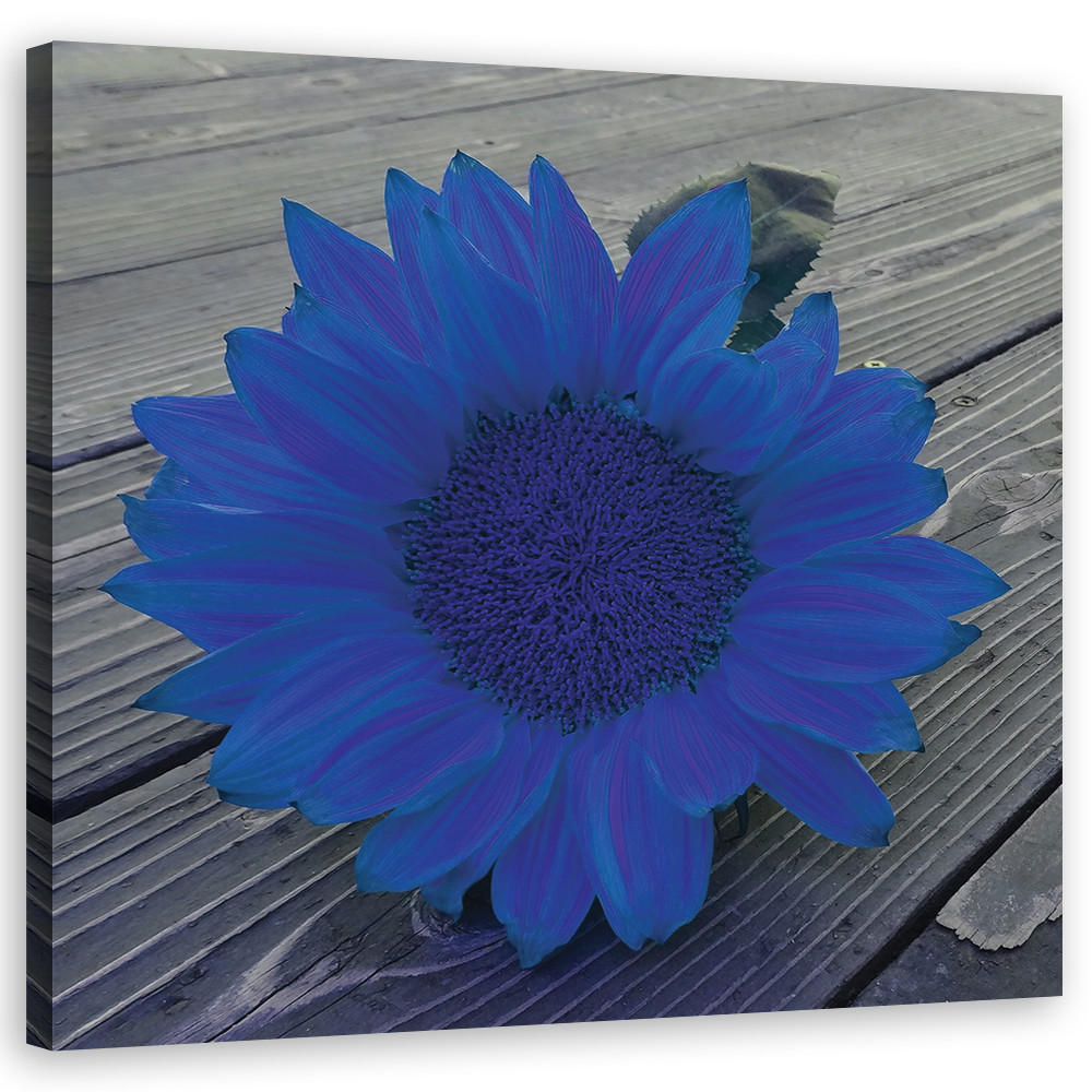 WANDBILD blaue sonnenblume - Blau, Textil (30/30cm) - Feeby