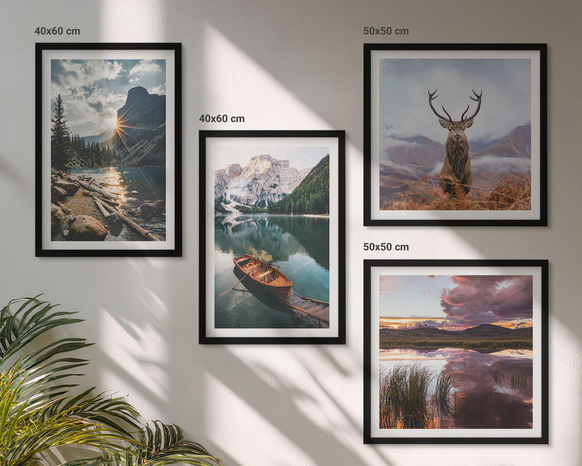 BILDER SET 4er Set - 50x50 cm & 40x60 cm Schwarzer Rahmen - Bergsee, Bootsfahrt, Sonnenuntergang, Hirsche - Schwarz, Kunststoff (50/50cm) - TULUP