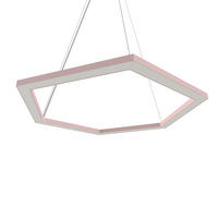 LED-HÄNGELEUCHTE - Pink, Metall (1.6/100/60cm) - Lumicom