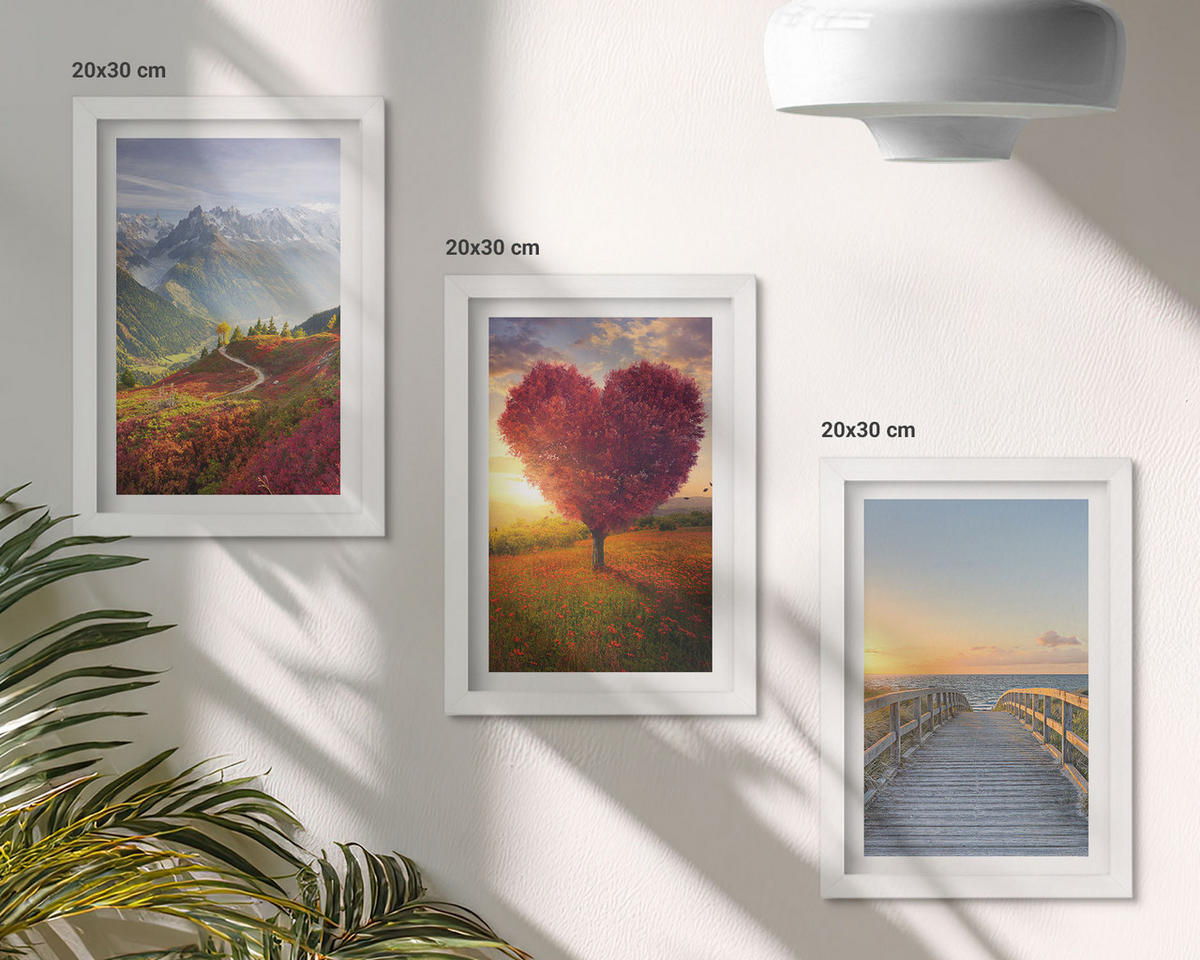 WANDBILDER 3er-Set - 20x30 cm Weißer Rahmen - Landschaften Berge Baum Herz Pier - Weiß, Kunststoff (20/30cm) - ArtPrintCave