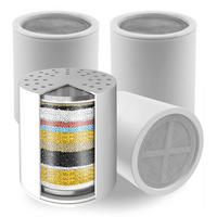 DUSCHFILTERKARTUSCHEN 4er-Set 20-stufige Filtration - Weiß, Kunststoff (12/12/15cm)