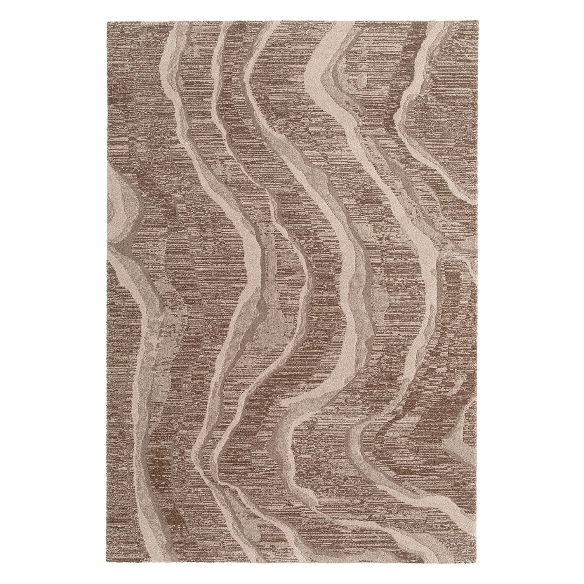Vivaraise Teppich Braun 200x290 cm