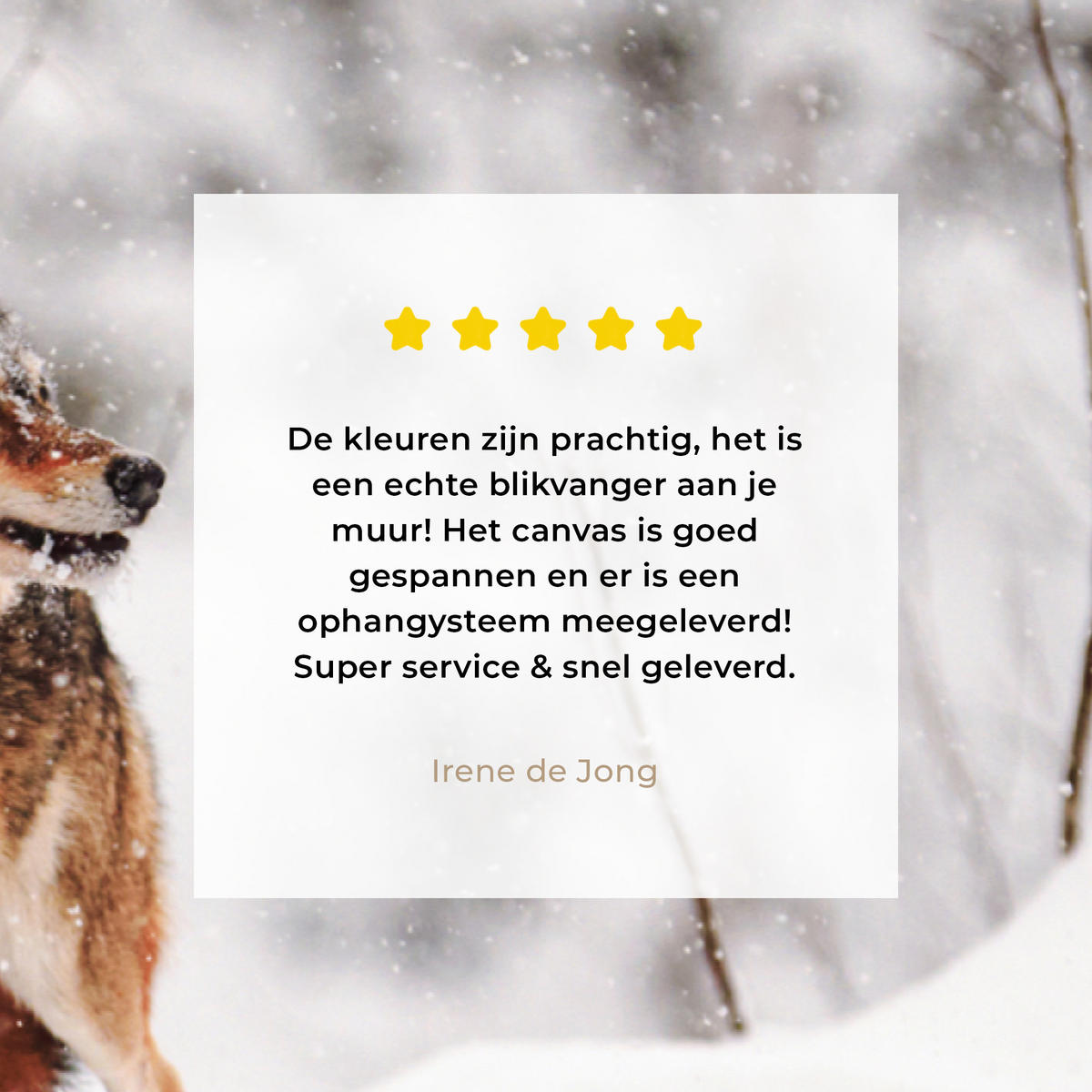 LEINWANDBILD Wolf - Winter - Schnee - Natur - Tiere Wohnzimmer Groß 120x80 cm - Haselnussfarben, Textil (120/80cm) - MuchoWow