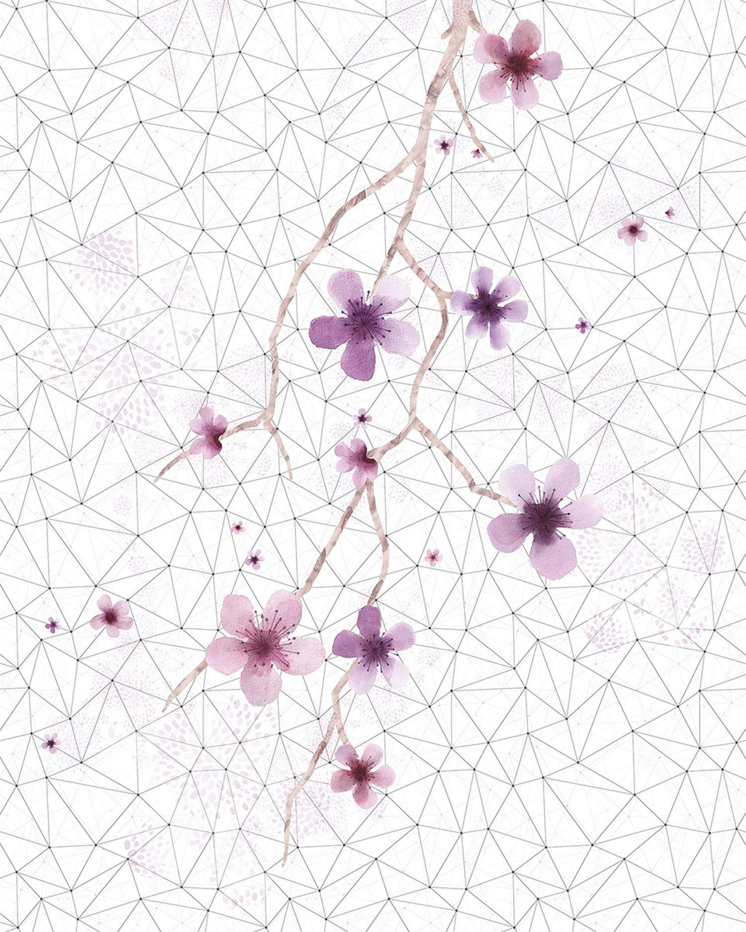 FOTOTAPETE Kirschblüten 200 x 250 cm - Schwarz, Papier (200/250cm) - Sanders & Sanders