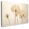 LEINWANDBILD Sonnenlicht - Löwenzahn - Botanisch - Blumen Wohnzimmer 120x80 cm - Creme, Textil (120/80cm) - MuchoWow
