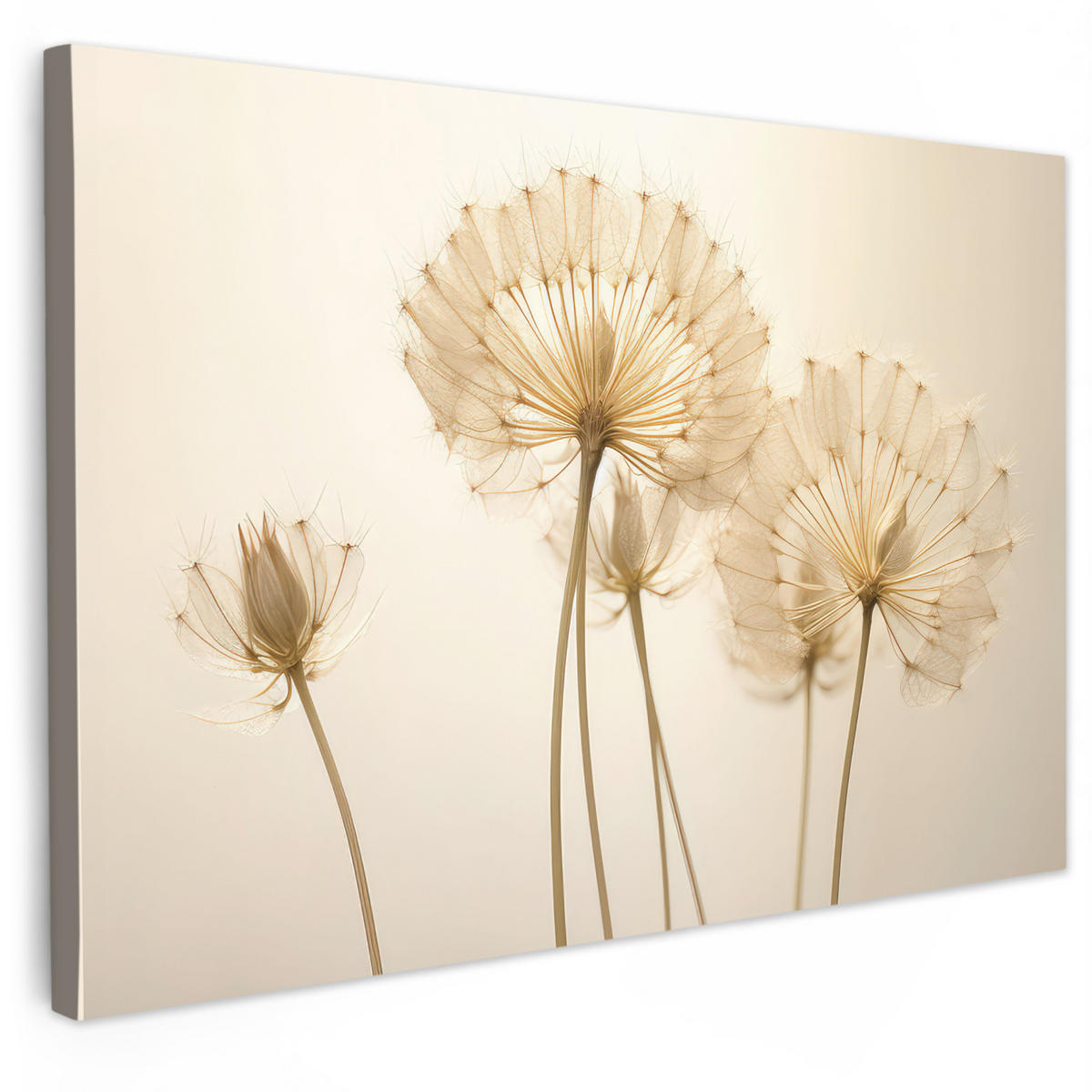 LEINWANDBILD Sonnenlicht - Löwenzahn - Botanisch - Blumen Wohnzimmer 120x80 cm - Creme, Textil (120/80cm) - MuchoWow