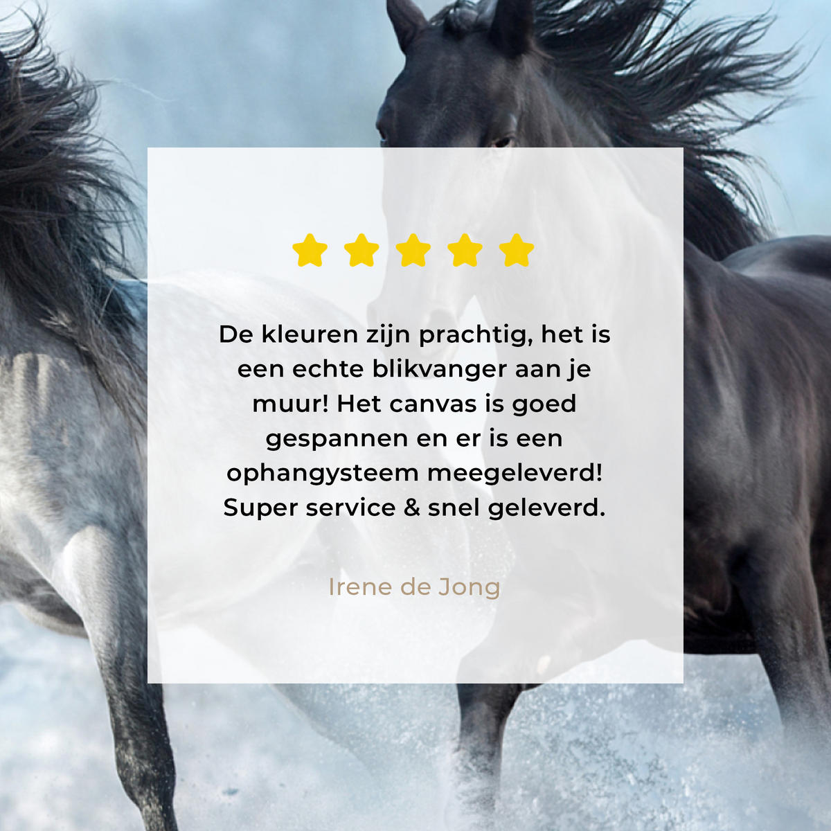 LEINWANDBILD Pferde - Winter - Tiere - Natur - Schnee Deko Groß 90x90 cm - Anthrazit, Textil (90/90cm) - MuchoWow