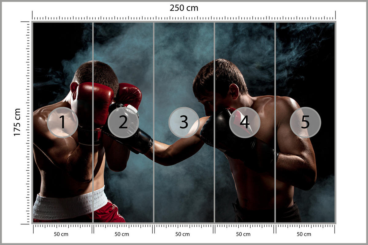 FOTOTAPETE für Jugendzimmer Boxer Männer Training Kampf Rauch 250x175 - Beige/Rot, Papier (250/175cm) - Muralo