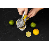 ZITRUSPRESSE Presse - Silberfarben, Metall (8/22/5cm)
