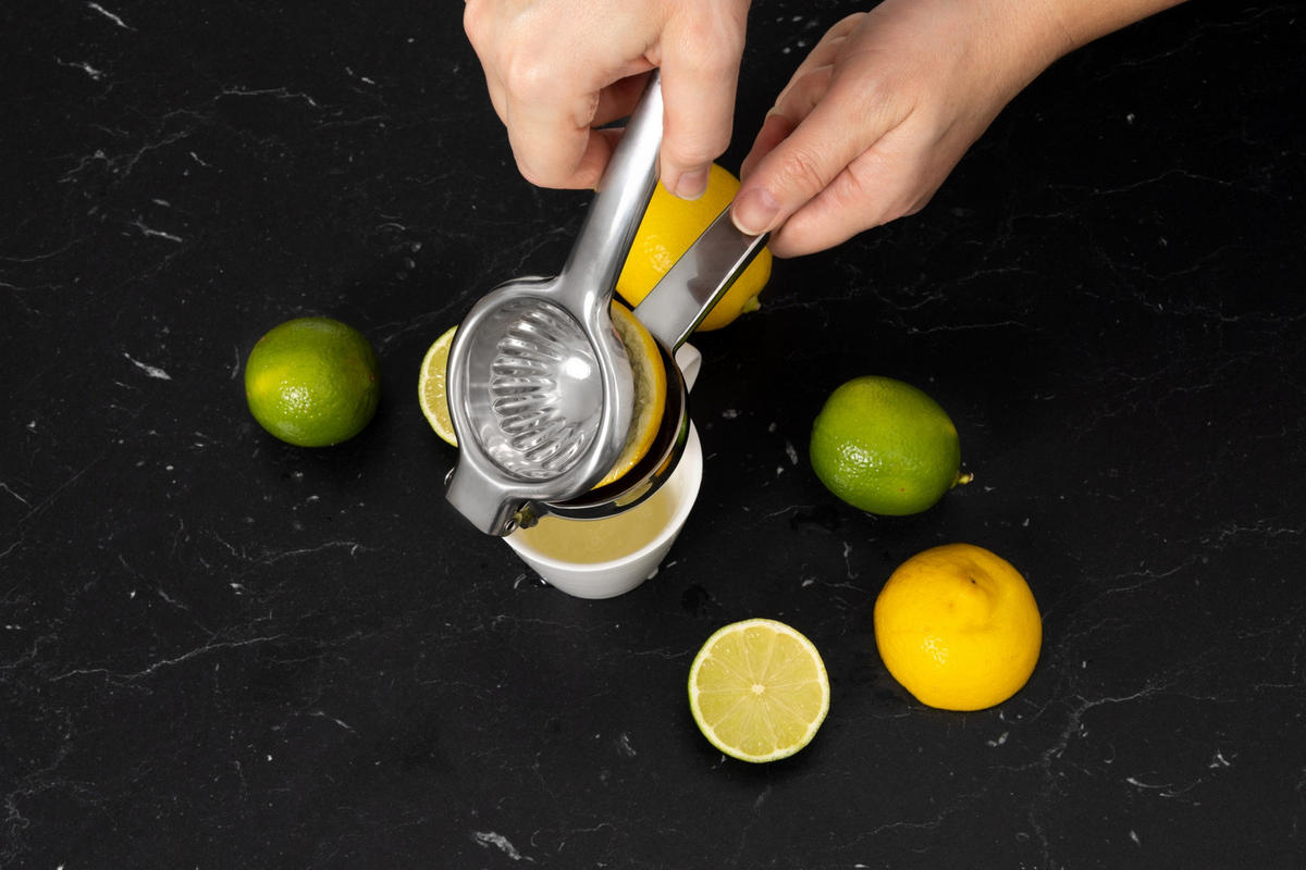 ZITRUSPRESSE Presse - Silberfarben, Metall (8/22/5cm)