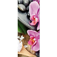 GLASBILD 30x80 cm Blumen Zen Spa - Beige, Glas (30/80cm) - artissimo