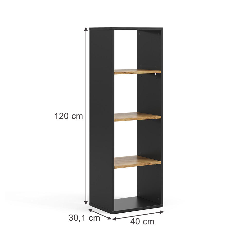 BÜCHERREGAL Tomy Anthrazit/Goldkraft Eiche 40 x 120 cm ,4 Fächer - Honigeiche/Anthrazit, Holzwerkstoff (40/120/30cm) - Vicco