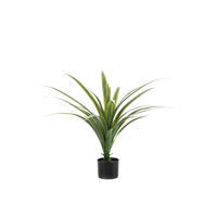 KUNSTBAUM Künstlicher Drachenbaum - Sisu 80 cm - Grün, Kunststoff (80cm) - Emerald