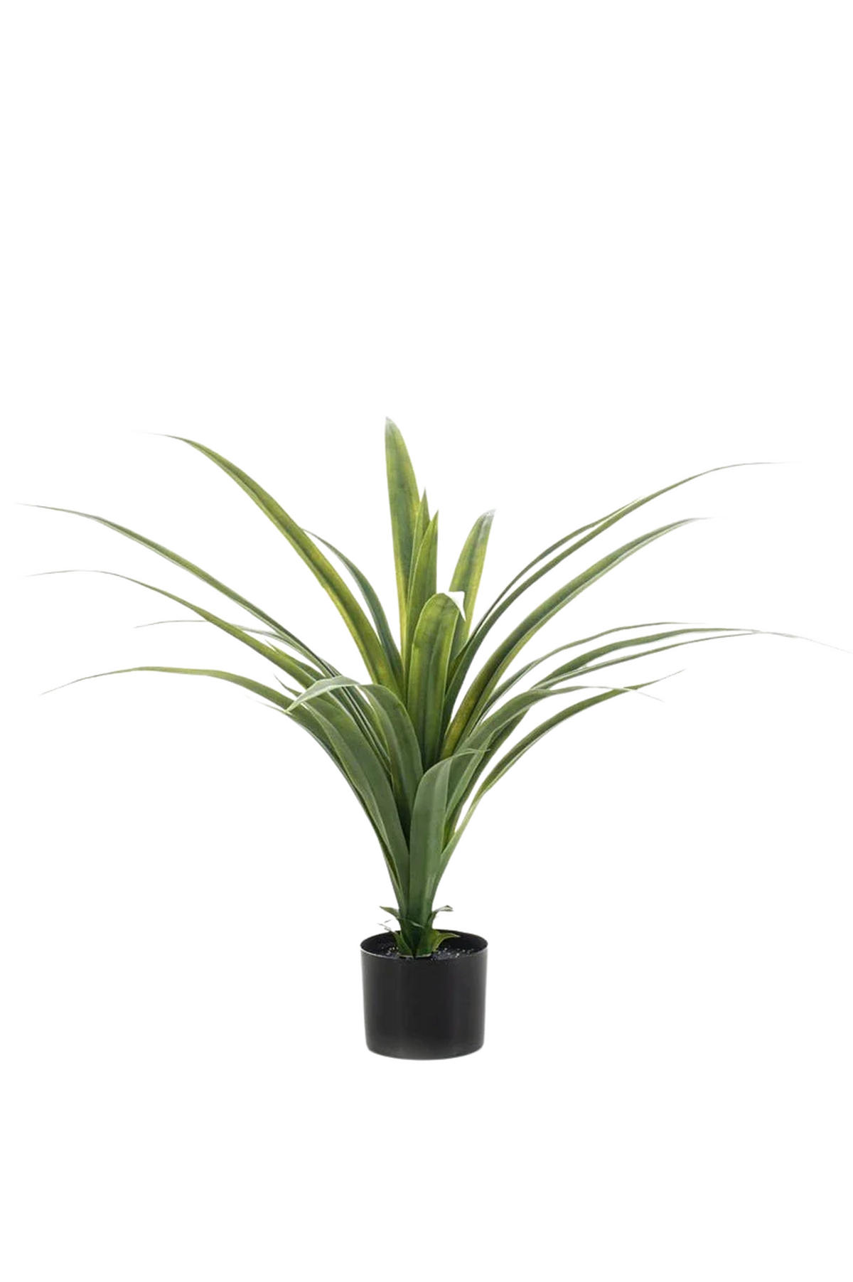 KUNSTBAUM Künstlicher Drachenbaum - Sisu 80 cm - Grün, Kunststoff (80cm) - Emerald