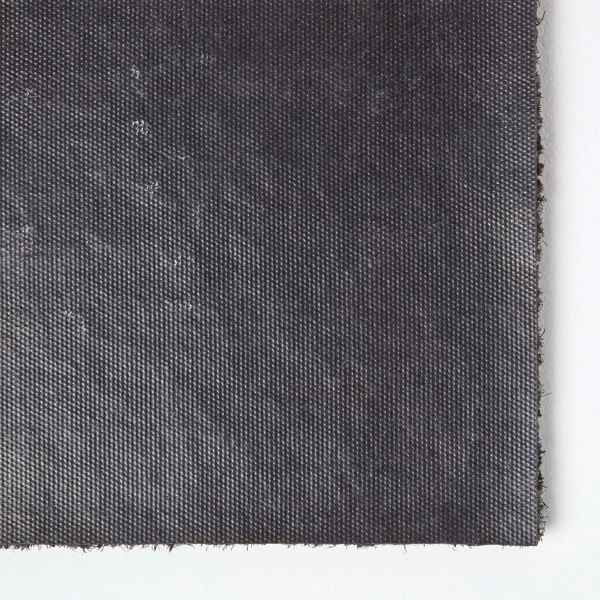 FUSSMATTE Vier Pfoten, Kokosfaser 40/70 cm - Naturfarben, Naturmaterialien (40/70cm) - Homescapes