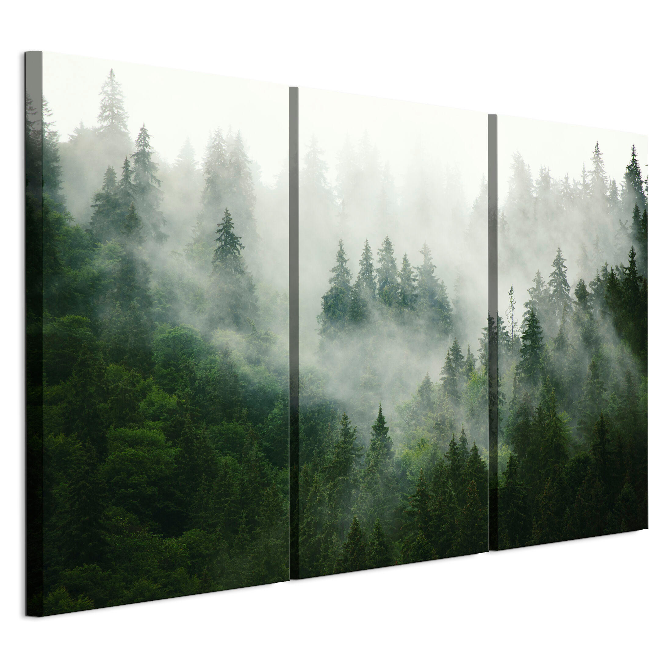 LEINWANDBILD Wald 3-tlg. 90x60 cm - Multicolor, Holz (90/60cm) - LUMASOUL