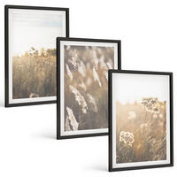 BILDER SET 3er Set - 40x60 cm Schwarzer Rahmen - Landschaftsgrasblumen Wärme - Schwarz, Kunststoff (40/60cm) - TULUP