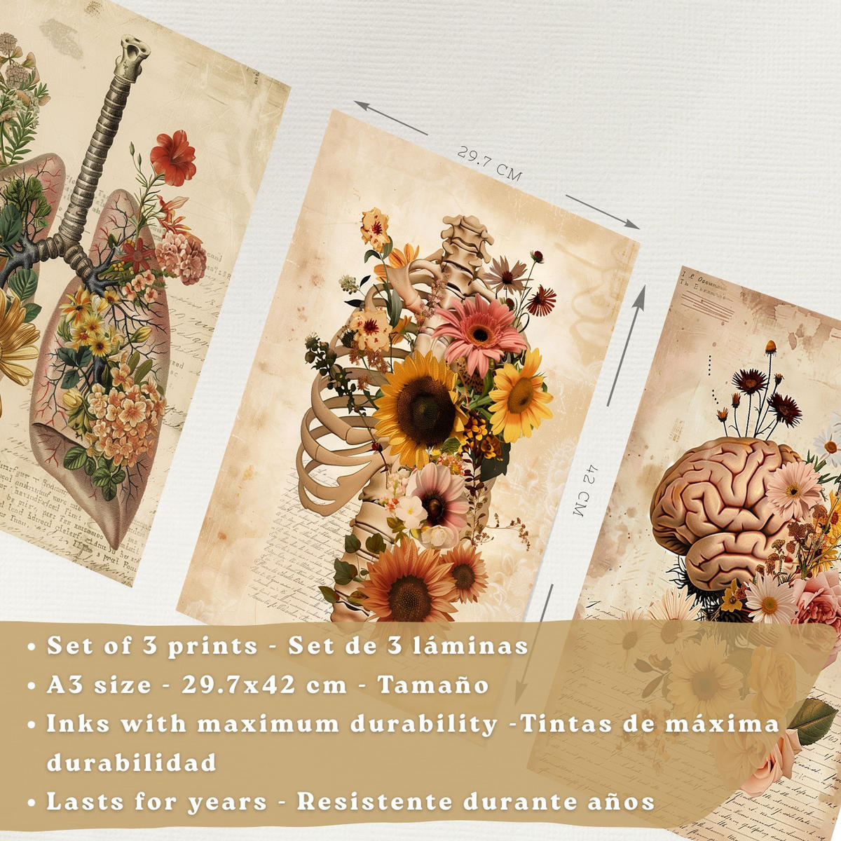 POSTER Set aus 3 Anatomie Mensch Vintage Florale Drucke und Wandbilder mit Lungen Brustkorb und Gehirn Botanischer Antiker Stil Größe Weißer Rahmen A3 - Weiß, Papier (29.7/42/3cm) - Nacnic