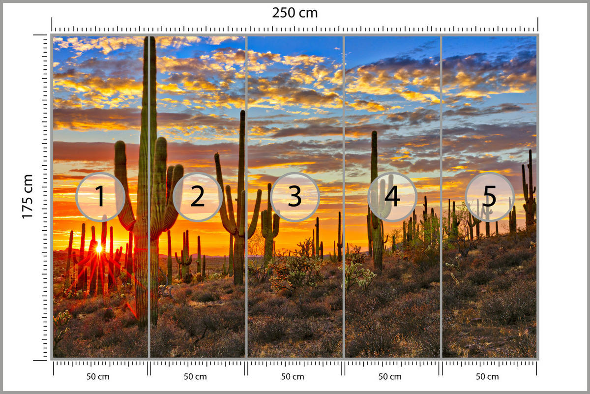 FOTOTAPETE für Wohnzimmer Wüsten Sonnenuntergang Kaktus Pflanzen 250x175 - Gelb/Beige, Papier (250/175cm) - Muralo