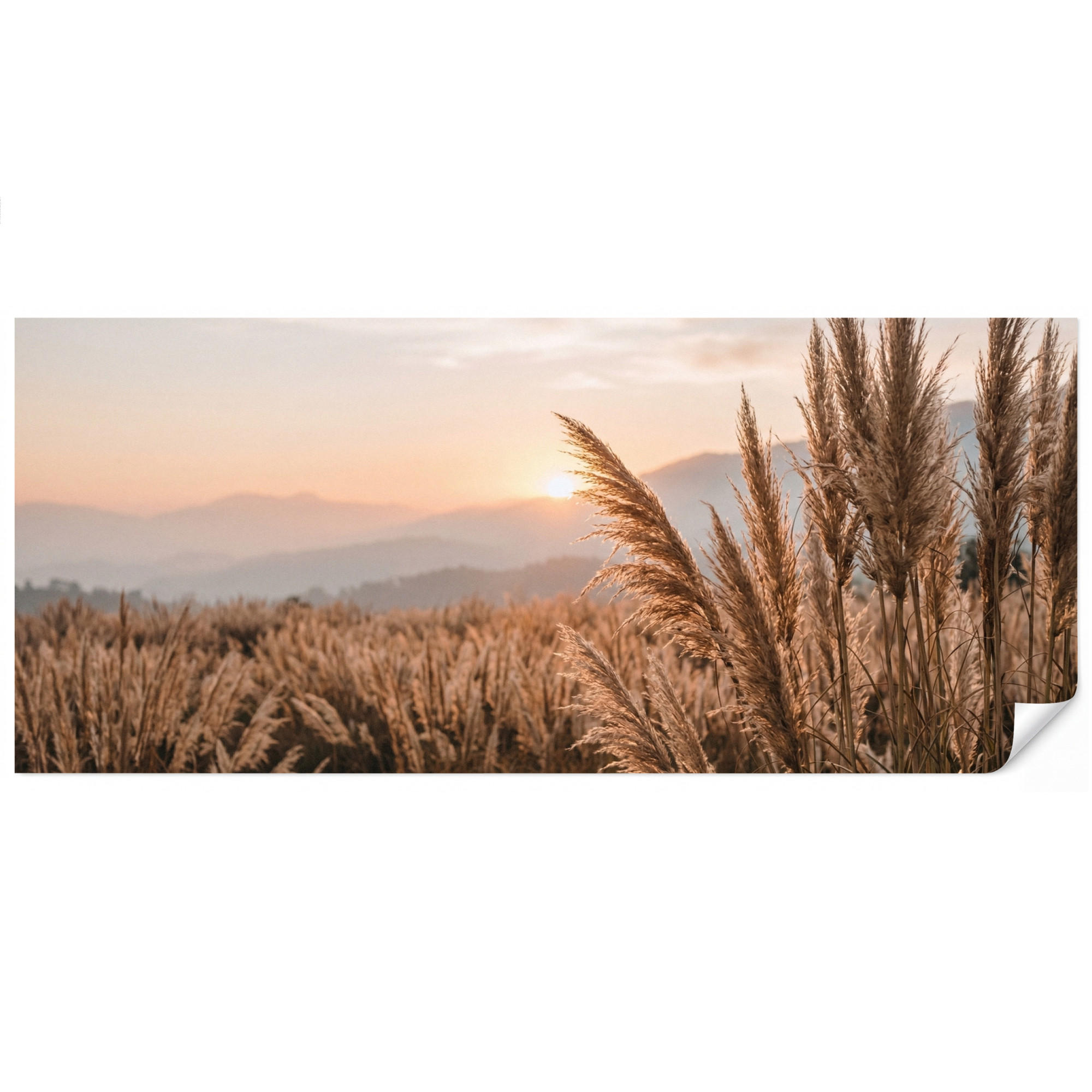 OnlyWow Tapete Sand 450x200 cm