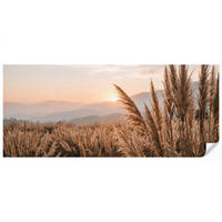 TAPETE - Gras - Feld - Sonne - Natur - 450x200 cm - Sandfarben, Papier (450/200cm) - OnlyWow